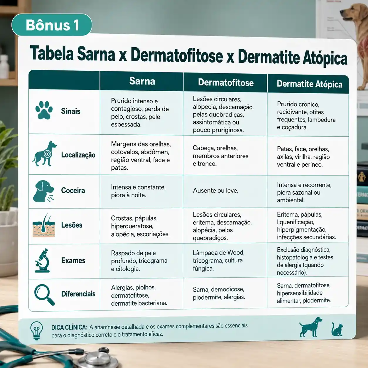 Bônus 1